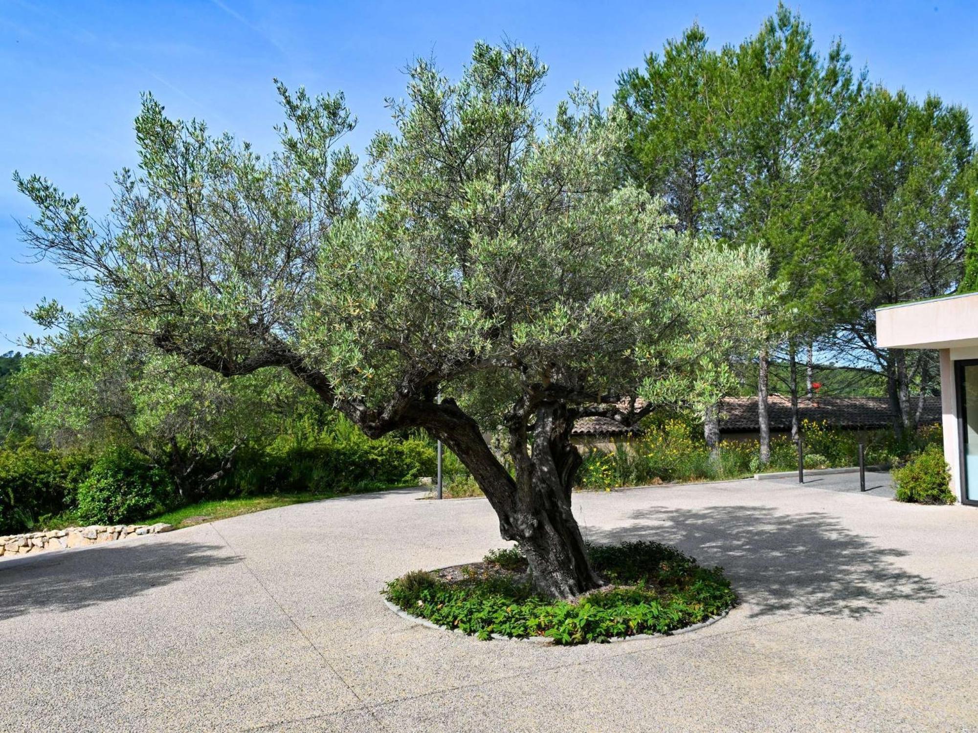 Mercure Brignoles Golf De Barbaroux & Spa Zewnętrze zdjęcie